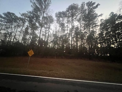 000 S Rock Island Dr, Eatonton, GA 31024 - photo 4