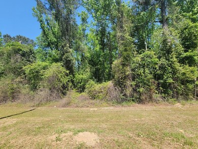 0 S Hwy 27 unit 27320, Geneva, AL 36340 - photo 4