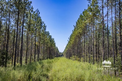 XX1 Highway 2, Campbellton, FL 32426 - photo 2