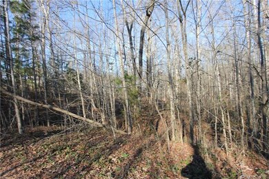 0000 Creekstone Ct, Lincolnton, NC 28092 - photo 4