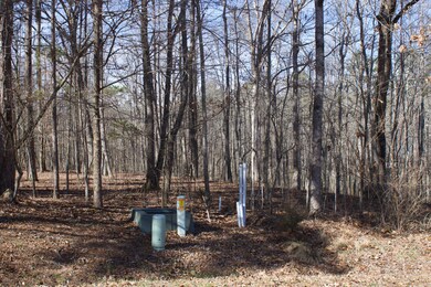 216 Erick Lane