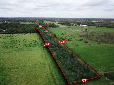 3457 County Road 172, Alvin, TX 77511 - photo 3