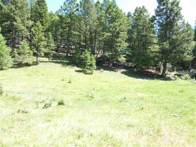 Perkins Creek Ranch, Anaconda, MT 59711 - photo 7