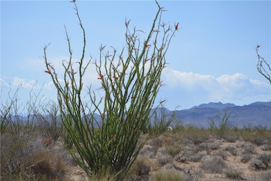 D4 Rose Well Rd, Yucca, AZ 86438 - photo 2