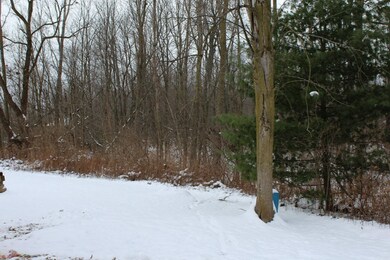 Side Woods