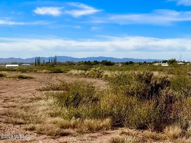 TBD International Ave 4 24 Acres, Douglas, AZ 85607 - photo 4