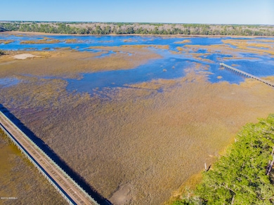 85 Tomotley Barony Dr, Seabrook, SC 29940 - photo 2
