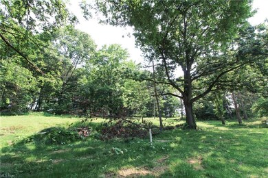 19471 County Road 6, Coshocton, OH 43812 - photo 4