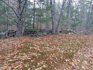 Lot R06-48 Straits, New Hampton, NH 03256 - photo 2