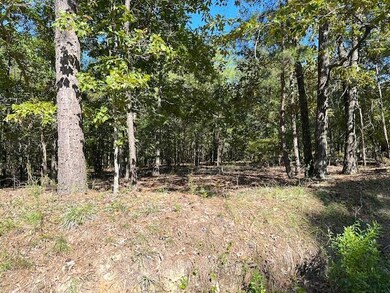 0 A Acorn Ln, Santee, SC 29142 - photo 6