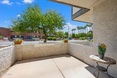 3411 N 12th Place unit 3, Phoenix, AZ 85014 - photo 6