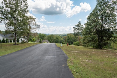 Lot 133 Seven Pines Dr, Saddlebrooke, MO 65630 - photo 6
