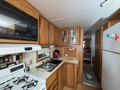 4421 Lane Rd, Zephyrhills, FL 33541 - photo 6