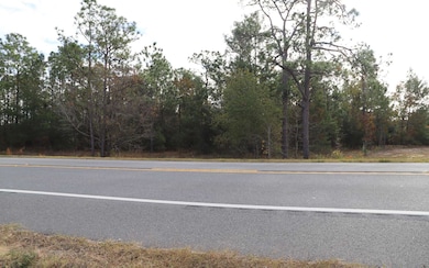 7049 State Road 21, Keystone Heights, FL 32656 - photo 4