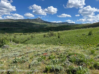 IMG_3911