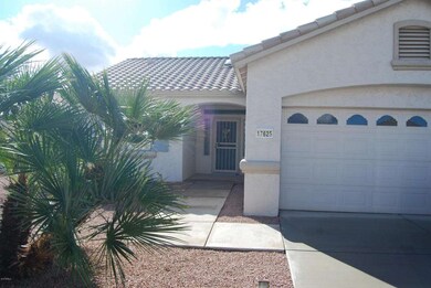 17625 W Wildberry Dr