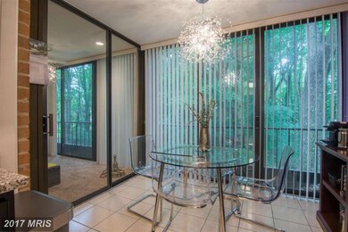 6350 Red Cedar Place unit 208, Baltimore, MD 21209 - photo 5