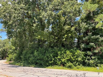 0 Fay Hart Rd, Fayetteville, NC 28306 - photo 2