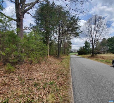 1000 W Old Mountain Rd, Louisa, VA 23093 - photo 4