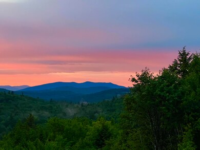 351 Douglas Hill Rd, West Baldwin, ME 04091 - photo 7