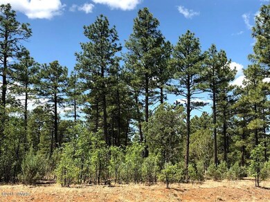 1 Woolford Rd, Show Low, AZ 85901 - photo 4