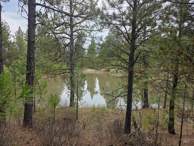 TBD Kirk Way, Cascade, ID 83611 - photo 5