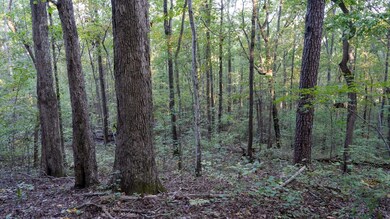 0 Sumatanga Rd, Steele, AL 35987 - photo 7