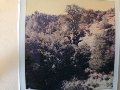 20250811_114433_resized