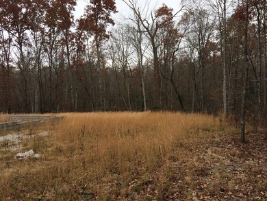 0 Wallace Way unit 1101334, Grimsley, TN 38565 - photo 6