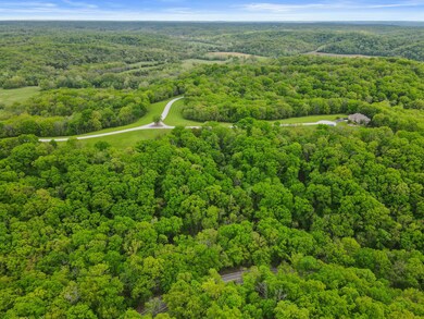 TRACT 8 W River Bluff Ct, Three Creeks Township, MO 65203 - photo 5