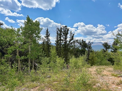 0 Beaver Creek Rd unit REC9026847, Alma, CO 80420 - photo 5
