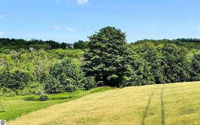 N Setterbo Rd, Suttons Bay, MI 49682 - photo 6