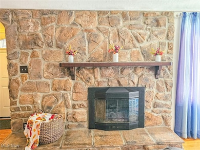 4270 Mellinger Rd, Canfield, OH 44406 - photo 2