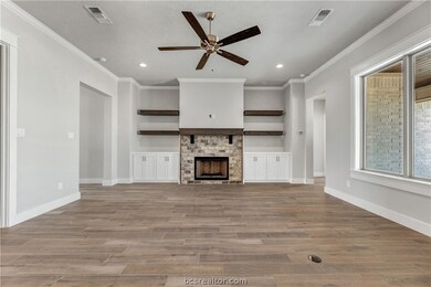 Fireplace with Builtins.
