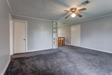 116 Camellia-3