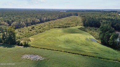 2835 Pikeville-Princeton Rd, Pikeville, NC 27863 - photo 4