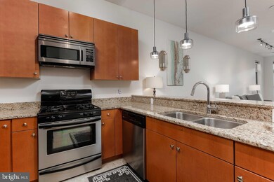 Twelve 09 unit 307, Baltimore, MD 21201 - photo 3