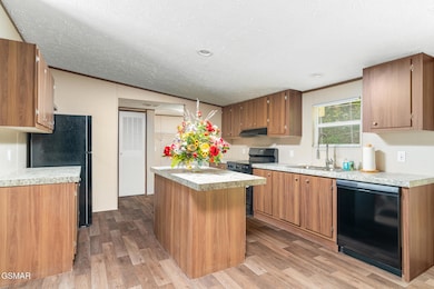 1431 Blue Springs Way, Newport, TN 37821 - photo 5