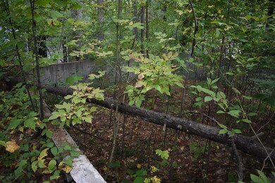 5 Rabbit Path, Hillsborough, NH 03244 - photo 7