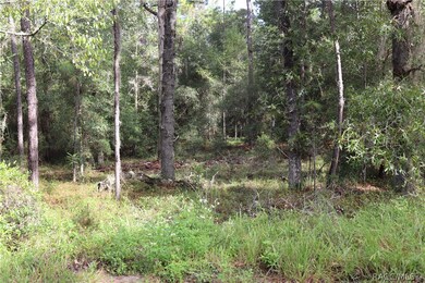 00 SW 211 Cir, Other, FL 34431 - photo 5