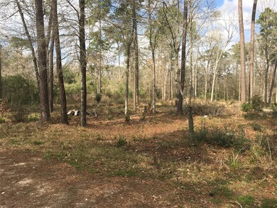 TBD Twin Deer Rd, Conroe, TX 77385 - photo 2