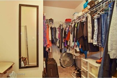 111 N Larch Ave unit 301, Elmhurst, IL 60126 - photo 7