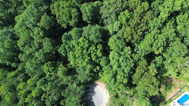 5601 Barclay Cir, Trussville, AL 35173 - photo 3