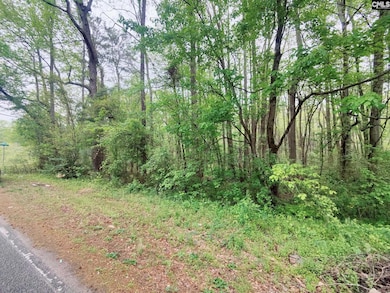 0 Mineral Springs Rd unit 560120, Lexington, SC 29072 - photo 4