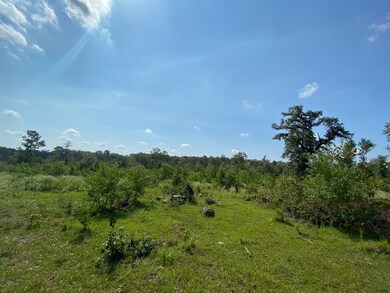 00 Mill Creek Rd, Huntington, TX 75949 - photo 3