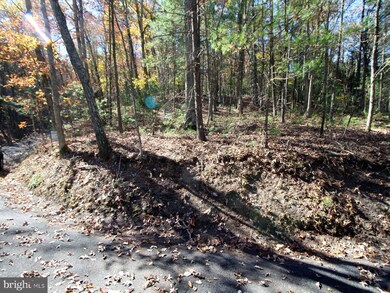 0 Breckinridge Rd, Basye, VA 22810 - photo 5