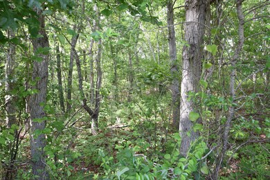 Satucket Land
