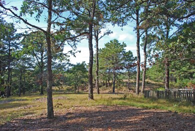 5 Dike Rd, Edgartown, MA 02539 - photo 3