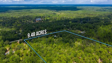 4460 Tick Haven Ln Aerial-3