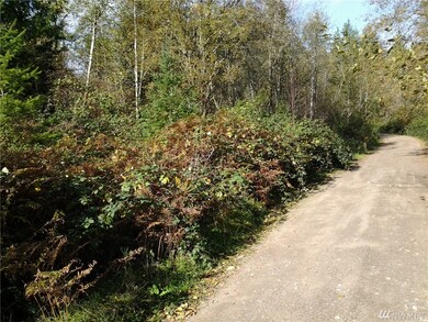 6426 180th Avenue Kp S, Longbranch, WA 98351 - photo 3